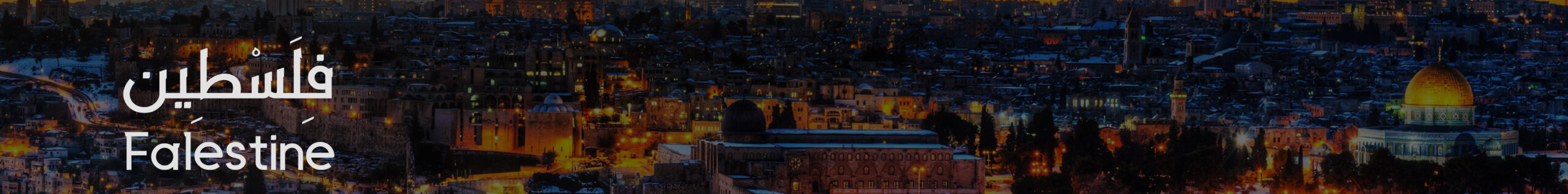 تلفزيون فلسطين